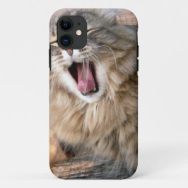 LOL Maine Coon Case-Mate iPhone Hülle