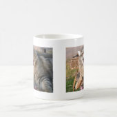 LOL Maine Coon Kaffeetasse (Mittel)
