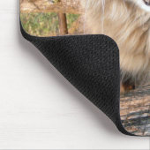 LOL Maine Coon Mousepad (Ecke)