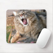 LOL Maine Coon Mousepad (Mit Mouse)