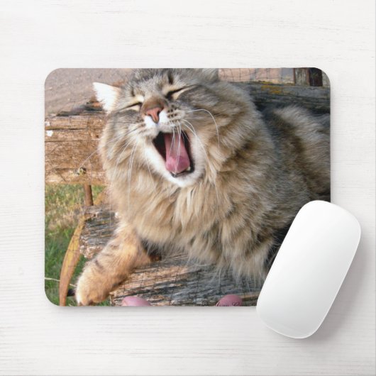 LOL Maine Coon Mousepad (Mit Mouse)