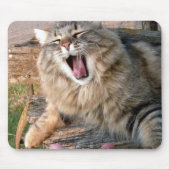 LOL Maine Coon Mousepad (Vorne)