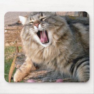 LOL Maine Coon Mousepad