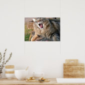 LOL Maine Coon Poster (Küche)