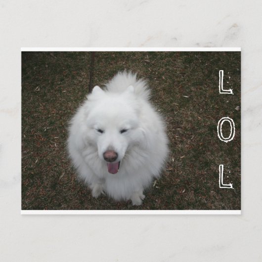 LOL POSTKARTE (Vorderseite)