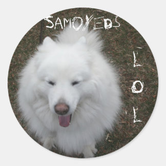 LOL RUNDER AUFKLEBER