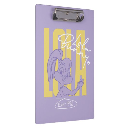 Lola 1996 Vibe Klemmbrett (Rechts)