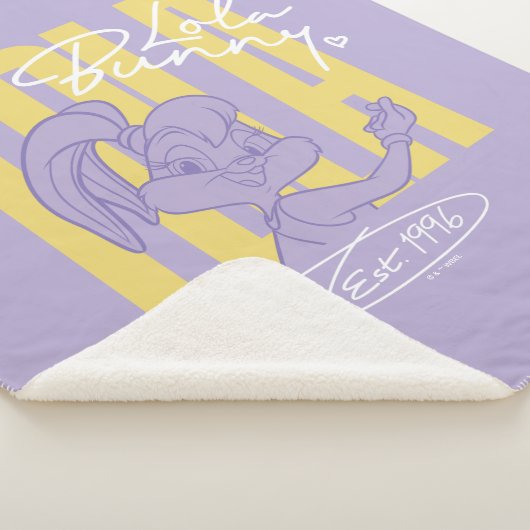 Lola 1996 Vibe Sherpadecke (3/4)