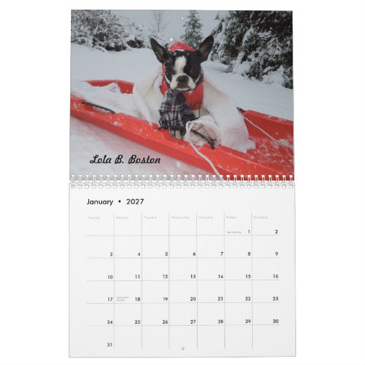 Lola B. Boston 2015 Kalender (Jan 2027)