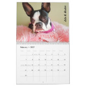 Lola B. Boston 2015 Kalender (Feb 2027)