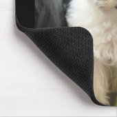 Lola ein geretteter Havanese Welpe Mousepad (Ecke)