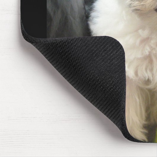 Lola ein geretteter Havanese Welpe Mousepad (Ecke)