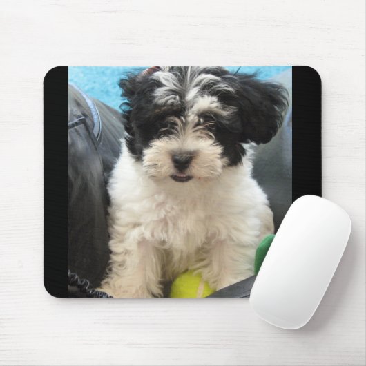 Lola ein geretteter Havanese Welpe Mousepad (Mit Mouse)