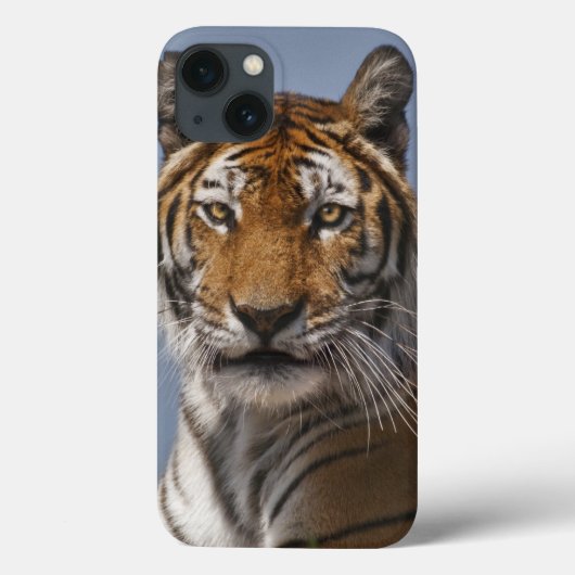 Lola iPad Case (Rückseite)