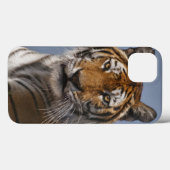 Lola iPad Case (Rückseite (Horizontal))