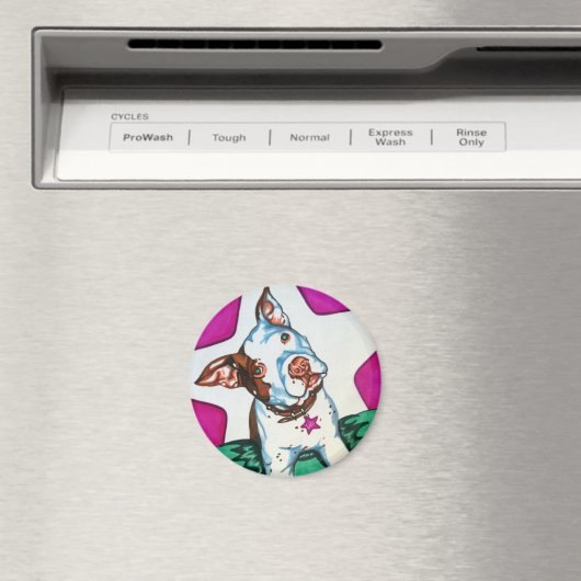 Lola Magnet (In Situ (Geschirrspüler))