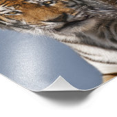 Lola Print Fotodruck (Ecke)