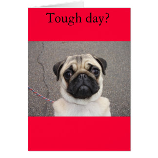 Lola spürt Schmerzen