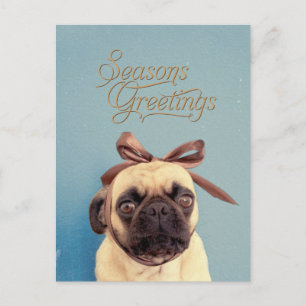 Lola with bow postkarte