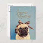 Lola with bow postkarte (Vorne/Hinten)