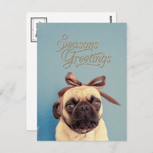 Lola with bow postkarte (Vorne/Hinten)