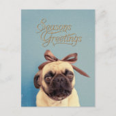 Lola with bow postkarte (Vorderseite)