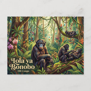 Lola ya Bonobo-Schutzgebiet Postkarte