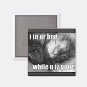 LOLCat 1 Magnet (Vorderseite/Rückseite)