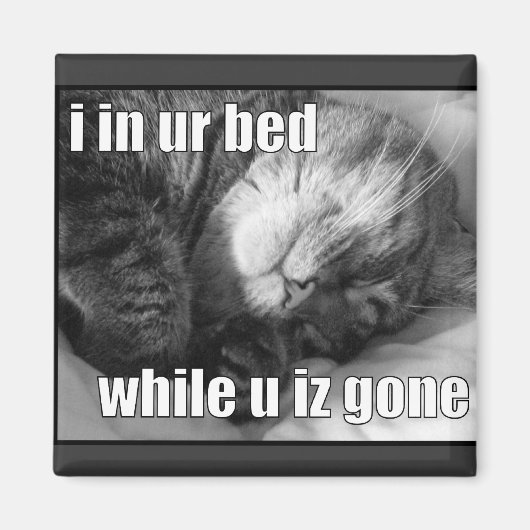 LOLCat 1 Magnet (Vorne)