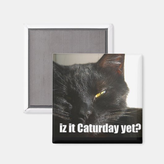 LOLCat 2 Magnet (Vorderseite/Rückseite)
