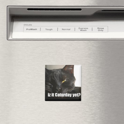 LOLCat 2 Magnet (In Situ (Geschirrspüler))