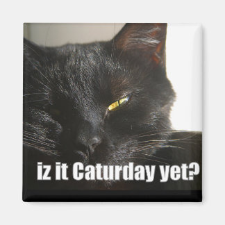 LOLCat 2 Magnet