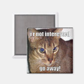 LOLCat 3 Magnet (Vorderseite/Rückseite)