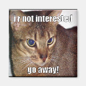 LOLCat 3 Magnet (Vorne)