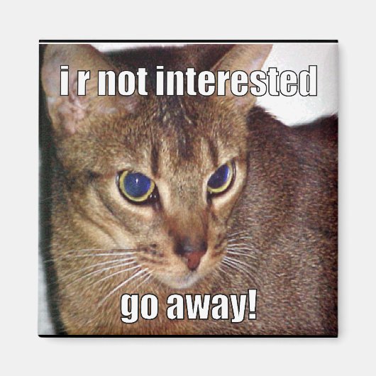 LOLCat 3 Magnet (Vorne)