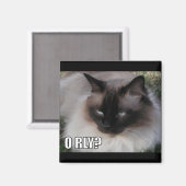 LOLCat 4 Magnet (Vorderseite/Rückseite)