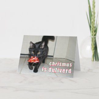 Lolcat Christmas Card Feiertagskarte