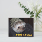LOLHog PostCard Postkarte (Stehend Vorderseite)