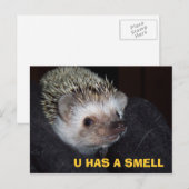 LOLHog PostCard Postkarte (Vorne/Hinten)