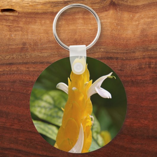 Lollipop-Schlüsselanhänger Schlüsselanhänger (Vorderseite)