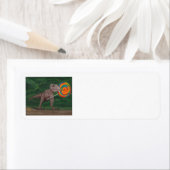 LOLLIPOP T-REX (Insitu)