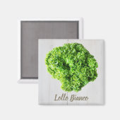 Lollo Bianco Salad lettuce leaves for Vegans Magnet (Vorderseite/Rückseite)