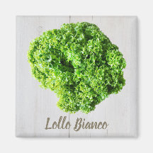 Lollo Bianco Salad lettuce leaves for Vegans
