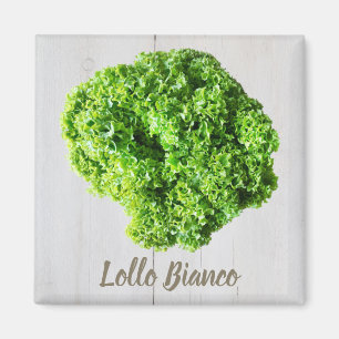 Lollo Bianco Salad lettuce leaves for Vegans Magnet