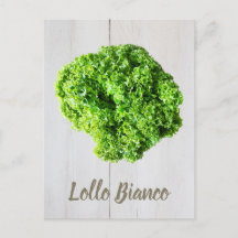 Lollo Bianco Salad Salat Blätter für Veganer