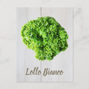 Lollo Bianco Salad Salat Blätter für Veganer Postkarte