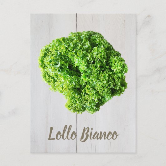 Lollo Bianco Salad Salat Blätter für Veganer Postkarte (Vorderseite)