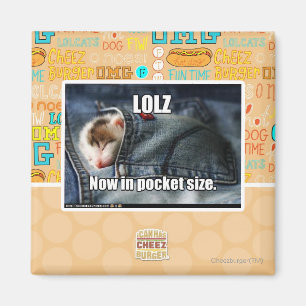 LOLZ jetzt in im Taschenformat Magnet