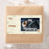 LOLZ jetzt in Pocket Size (Insitu)