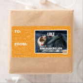 LOLZ jetzt in Pocket Size (Insitu)
